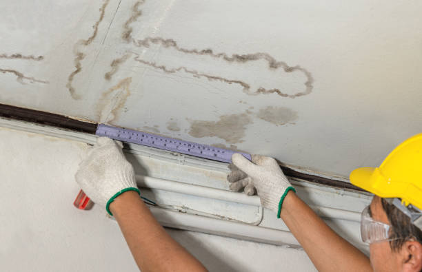 Reliable Mold Remediation contractor in Springfield, MI by Local Water Damage Repair
